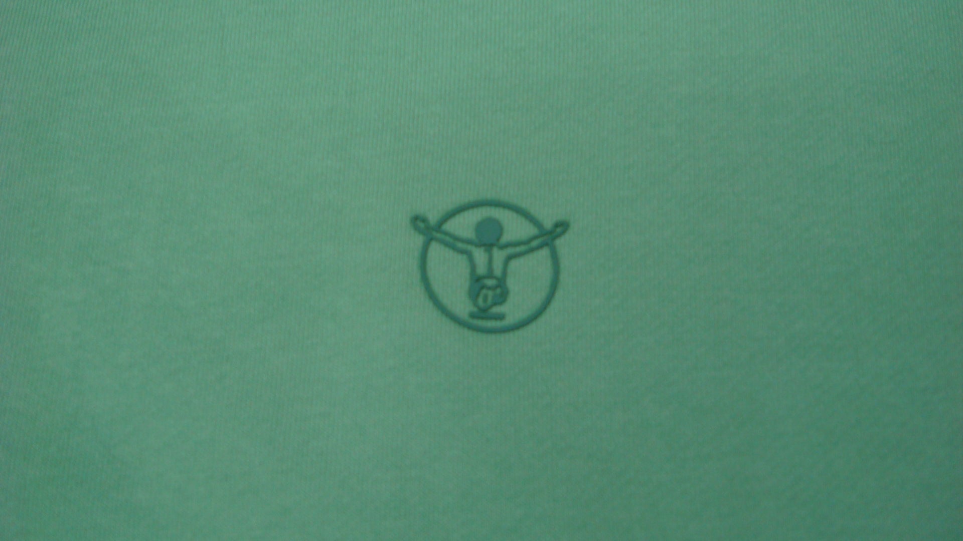 WOMEN SWEATSHIRT 00017352（カラー：14-6319 MEADOW）サイズ：L（レディースEUサイズ）