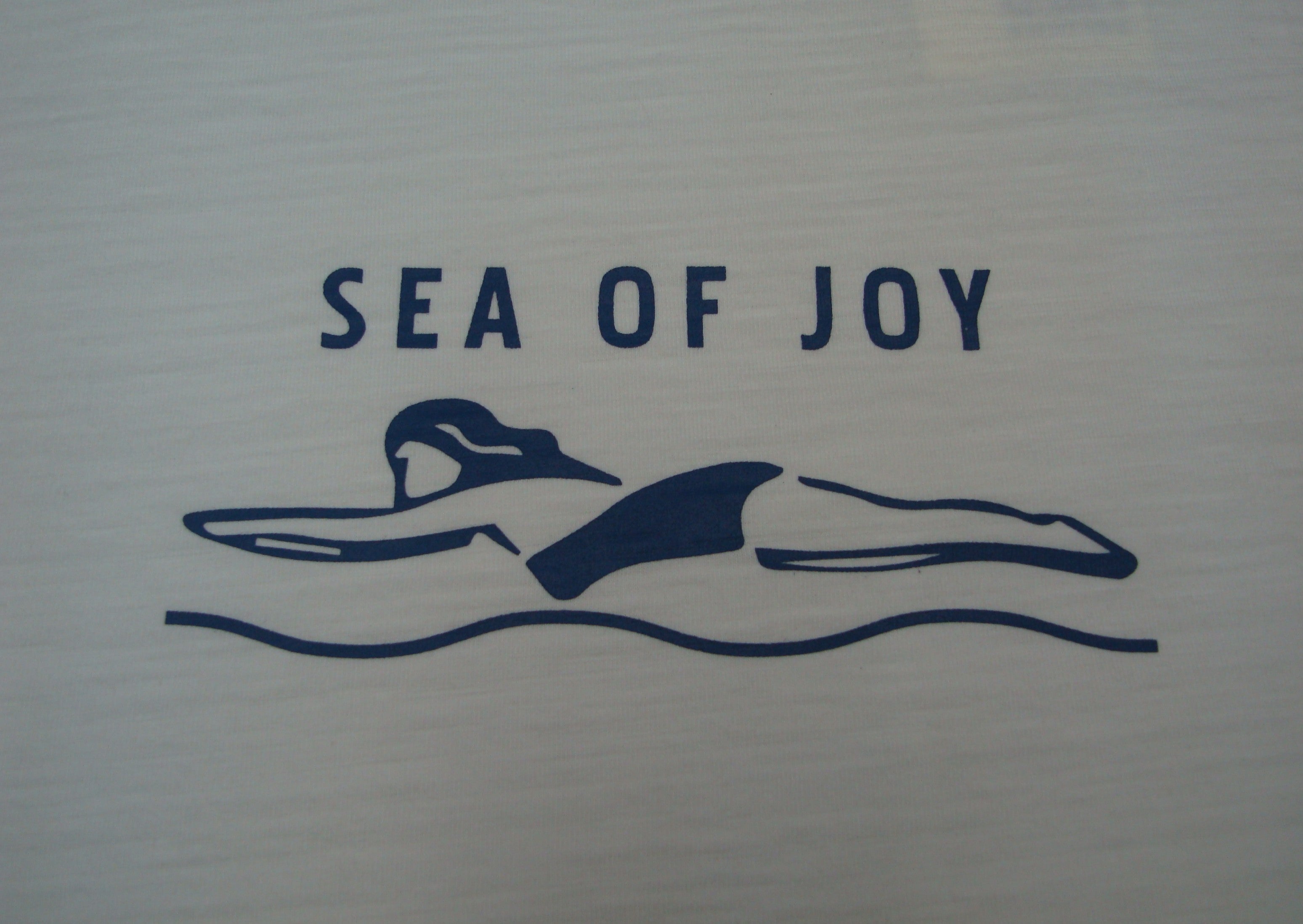 SEA OF JOY Y-1098A（カラー：オフ(A)）