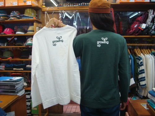 GREEN Y-0688G-LST（サイズ：M）日本サイズ