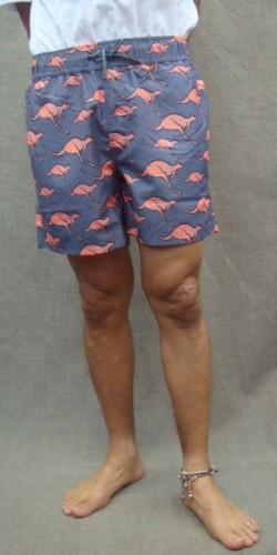 MEN SWIM SHORTS 00015747（カラー：7821 DK GREY/ORN AOP）