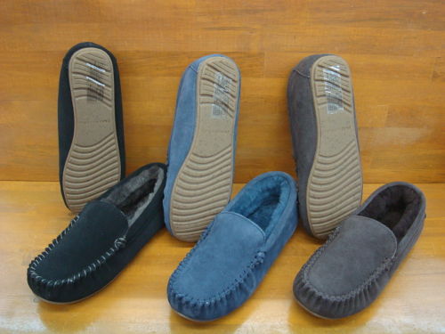 Cairns Suede(JAPAN LIMITED)